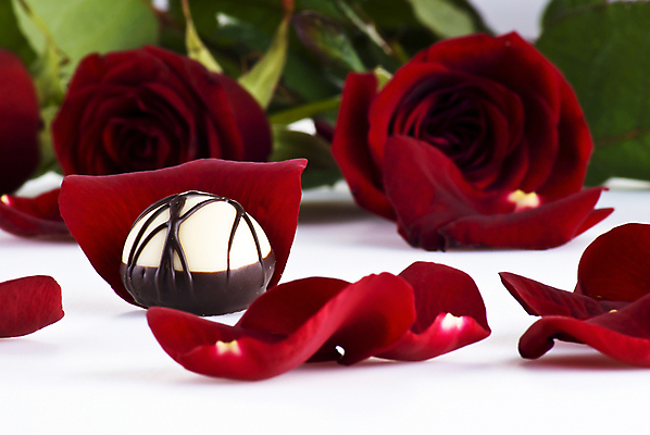 포토 JPG 해외이미지 모양 꽃잎 꽃 꽃다발 백그라운드 발렌타인데이 선물 사랑 사람없음 빨간색 상자 장미 과자 초콜릿 흰색 하트 인사 신용카드 달콤 엽서 고립 해외포토 식물 감정 컬러 데이이벤트 디저트 금융 예절 맛 편지 파일형식 이미지허브