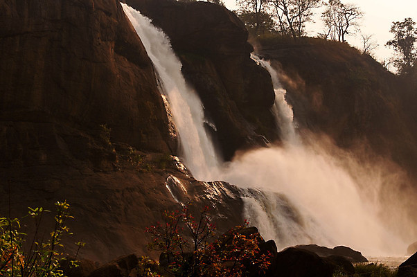 포토 JPG 해외이미지 나무 식물 호수 여행 잎 모션 자연 하늘 풍경 사람없음 야외 목재 초록색 물 여름 강 햇빛 뷰티 반사 환경 활발 폭포 젖음 흐름 바위 나뭇가지 연못 신선 액체 개울 떨어짐 숲 순수 속도 생태학 케랄라주 파라다이스 해외포토 자연요소 계절 교육 컬러 컨셉 재료 태양 돌_바위 인도_나라 생태계 파일형식 이미지허브