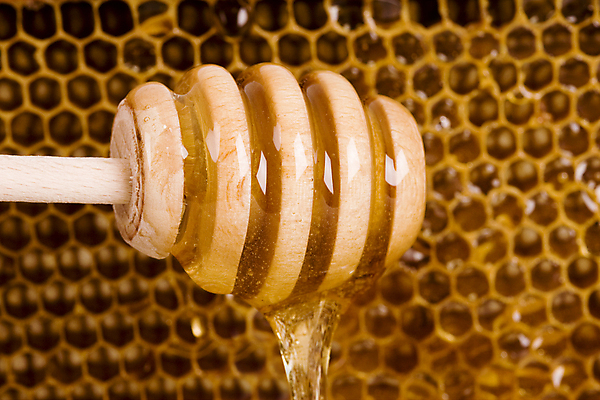 포토 JPG 해외이미지 야생동물 음식 곤충 백그라운드 패턴 자연 건조 건강 사람없음 농장 노란색 건강관리 흐름 황금 달콤 떨어짐 육각형 꿀 건강식 벌집 밀랍 왁스 해외포토 도형 동물 컬러 컨셉 무늬 농업 관리 맛 생태계 파일형식 이미지허브