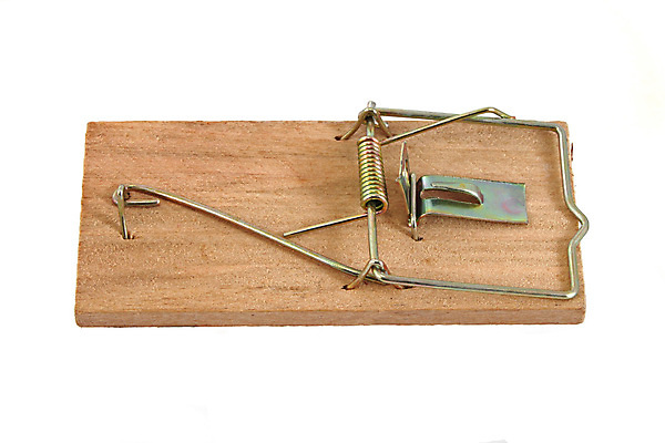 포토 JPG 해외이미지 스튜디오촬영 사람없음 목재 놀람 흰색 죽음 잡기 해충 쥐 설치류 위험 자르기 조심 올가미 고립 해외포토 나무 동물 감정 컬러 컨셉 재료 모션 실내 표정 벌레 파일형식 이미지허브