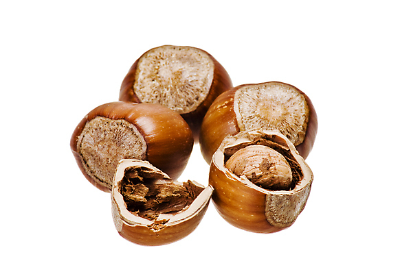 포토 JPG 해외이미지 식물 음식 패턴 자연 건강 사람없음 갈색 견과류 성장 흰색 오픈 변화 작음 먹기 슛 청동 고립 해외포토 컬러 컨셉 무늬 모션 크기 생태계 파일형식 이미지허브