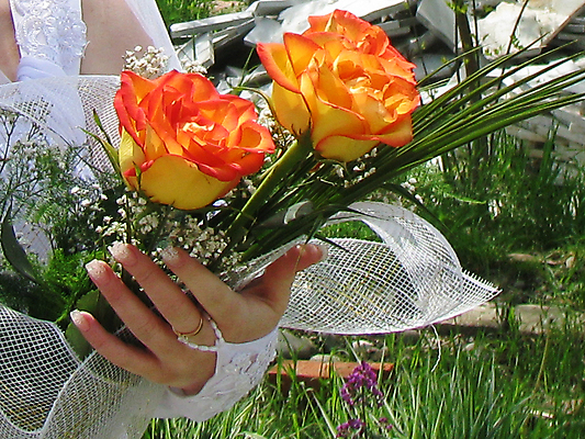 포토 JPG 해외이미지 식물 디자인 꽃 잎 목걸이 사랑 사람없음 뷰티 장미 해외포토 감정 장신구 파일형식 이미지허브