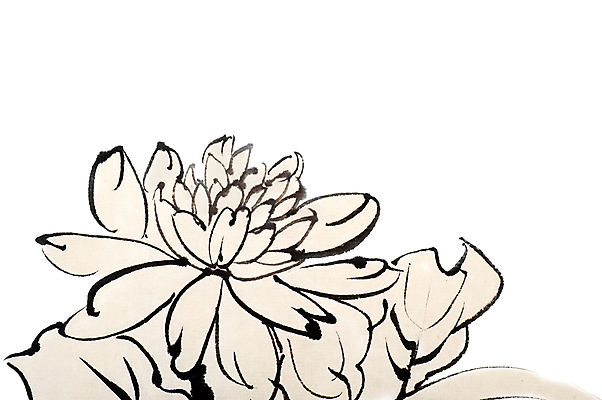 JPG 해외이미지 꽃 일러스트 붓터치 미술 사람없음 먹 동양화 그림 번짐 해외일러스트 식물 서예 문화예술 파일형식 효과 이미지허브