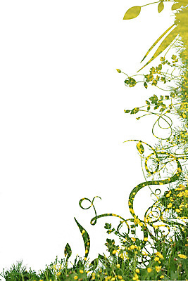 포토 JPG 해외이미지 클립아트 식물 디자인 꽃 실루엣 백그라운드 잎 꽃무늬 패턴 곡선 일러스트 자연 벽지 추상 프레임 나선형 미술 사람없음 그래픽 장식 여름 검은색 희망 봄 소용돌이 가을 흰색 우아함 그림 복고 윤곽 떠남 엘리먼트 레터헤드 국경 해외일러스트 계절 감정 선 컬러 컨셉 무늬 모션 문화예술 촬영기법 회오리 생태계 파일형식 이미지허브