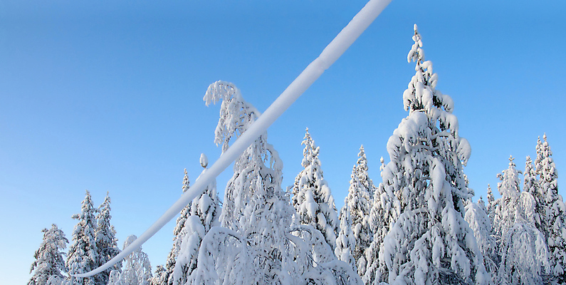 포토 JPG 해외이미지 계절 겨울 자연 하늘 사람없음 야외 파란색 냉동 추위 흰색 숲 서리 가문비나무 해외포토 나무 컬러 생태계 파일형식 이미지허브