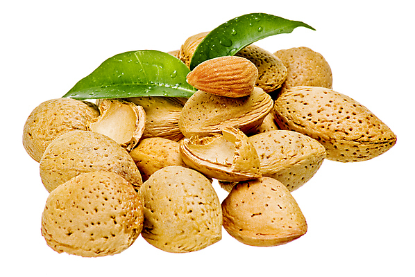 포토 JPG 해외이미지 식물 계절 음식 잎 재료 자연 건강 씨앗 사람없음 초록색 갈색 견과류 껍질 흰색 그룹 오브젝트 유기농 알맹이 아몬드 내추럴 고립 해외포토 웰빙 컬러 생태계 파일형식 이미지허브