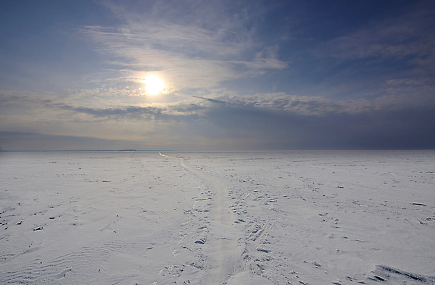 포토 JPG 해외이미지 계절 겨울 밭 자연 하늘 사람없음 추위 흰색 그림 서리 러시아 해외포토 유럽 컬러 농업 생태계 파일형식 이미지허브