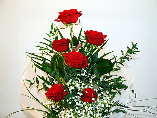 포토 JPG 해외이미지 스튜디오촬영 꽃 꽃다발 잎 사람없음 빨간색 장미 흰색 해외포토 식물 컬러 실내 파일형식 이미지허브