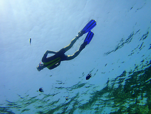 포토 JPG 해외이미지 바다 이집트 사람없음 빨간색 수중 해외포토 컬러 아프리카 파일형식 이미지허브