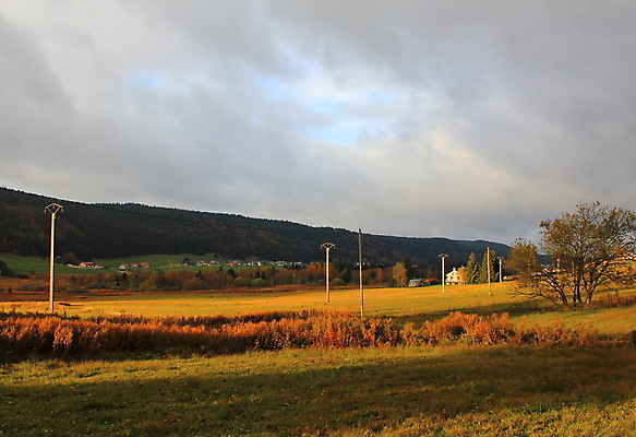 포토 JPG 해외이미지 나무 단풍 파노라마 사람없음 목재 빛 태양 노란색 행성 난로 그리너리 해외포토 자연요소 식물 컬러 잎 재료 촬영기법 우주 난방기 파일형식 트랜드컬러 이미지허브