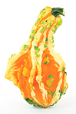 포토 JPG 해외이미지 계절 다이어트 채소 오렌지 과일 건강 사람없음 초록색 컬러풀 노란색 흰색 신선 박 스쿼시 내추럴 숙성 식용 맛있는 해외포토 스포츠 컬러 구기 파일형식 이미지허브