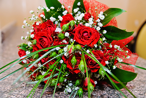 포토 JPG 해외이미지 꽃 꽃다발 결혼 신혼부부 자연 발렌타인데이 사람없음 장식 빨간색 장미 축하 가운 해외포토 식물 부부 옷 컬러 컨셉 데이이벤트 이벤트 생태계 신혼 파일형식 이미지허브