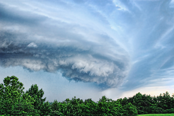 포토 JPG 해외이미지 주간 나무 구름 잎 바람 세포 사람없음 초록색 여름 파란색 어둠 봄 회색 위험 폭풍 뇌우 심각 해외포토 자연요소 식물 계절 컬러 컨셉 날씨 파일형식 이미지허브