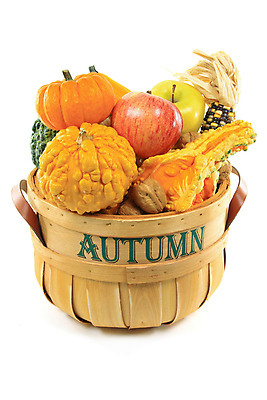 포토 JPG 해외이미지 계절 잎 다이어트 오렌지 과일 호박 건강 옥수수 사람없음 목재 초록색 컬러풀 노란색 바구니 가을 흰색 신선 달콤 사과 호두 미로 내추럴 숙성 맛있는 해외포토 나무 식물 컬러 채소 재료 곡류 견과류 맛 파일형식 이미지허브