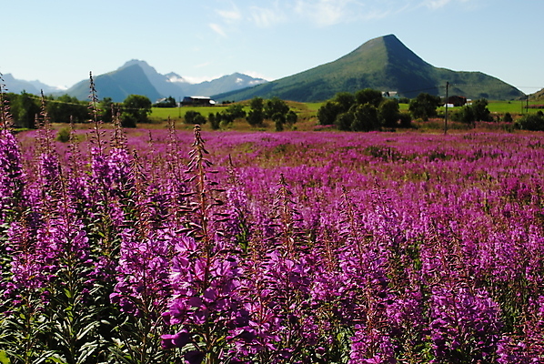 포토 JPG 해외이미지 노르웨이 사람없음 해외포토 유럽 파일형식 이미지허브