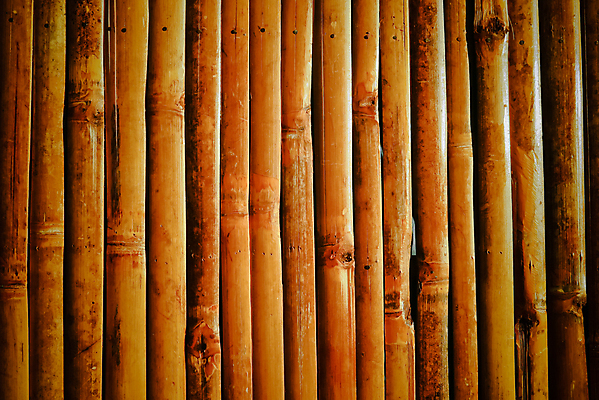 포토 JPG 해외이미지 나무 식물 전통 디자인 아시아 문화 선 벽 백그라운드 패턴 자연 추상 주택 건조 함께함 동양인 사람없음 야외 목재 세로 울타리 갈색 나뭇가지 막대기 선탠 다발 묶기 천 대나무 묘사 보따리 유기농 질감 심플 나무껍질 내추럴 줄서기 해외포토 웰빙 나라 컬러 컨셉 무늬 재료 모션 인종 건물 담장 껍질 직물 생태계 파일형식 이미지허브