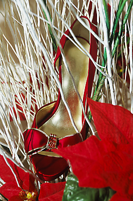 포토 JPG 해외이미지 실내 사람없음 세로 컬러풀 축하 하이힐 오브젝트 심플 해외포토 구두 컬러 컨셉 내부 여성화 파일형식 이미지허브