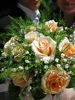 포토 JPG 해외이미지 식물 디자인 꽃 잎 목걸이 사랑 사람없음 뷰티 장미 해외포토 감정 장신구 파일형식 이미지허브