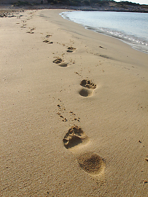 포토 JPG 해외이미지 모래 파도 바다 여행 휴가 사람없음 물 태양 황금 발자국 단계 양발 자취 해외포토 자연요소 자국 파일형식 이미지허브