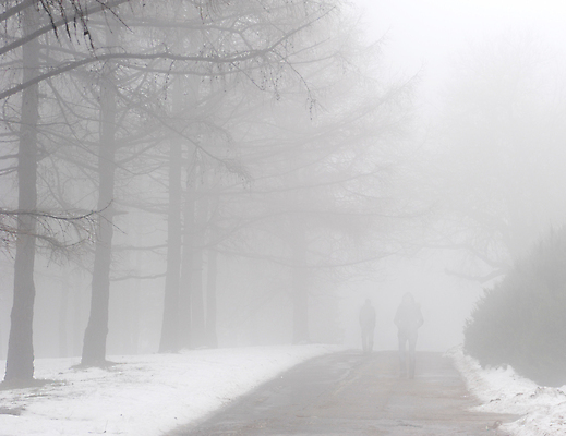 포토 JPG 해외이미지 나무 식물 계절 공원 실루엣 도로 길 겨울 자연 아침 날씨 휴식 사람 사람없음 걷기 정원 얼음 침묵 추위 코트 안개 흰색 나뭇가지 도시 쌍 고독 숲 큼 신비 마차 멀리 흐림 눈보라 돌봄 뿌연 우크라이나 소멸 해외포토 주간 자연요소 공공시설 감정 유럽 교통수단 컬러 컨셉 교통시설 모션 눈_날씨 촬영기법 소리 외투 크기 생태계 파일형식 이미지허브