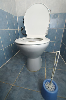 포토 JPG 해외이미지 라이프스타일 호텔 주택 실내 사람없음 내부 물 파란색 목욕 방 욕실 흰색 붓 도자기 장롱 위생 타일 싱크대 변기 일반 박테리아 변기통 위생관리 정리함 해외포토 자연요소 컬러 가구 의학 숙소 관리 건물 생활 청결 개수대 파일형식 이미지허브