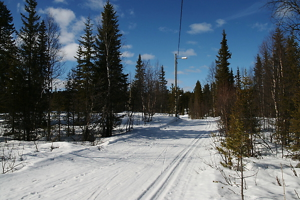 포토 JPG 해외이미지 나무 겨울 하늘 사람없음 야외 파란색 숲 해외포토 식물 계절 컬러 파일형식 이미지허브