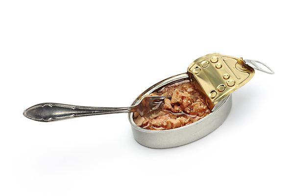 포토 JPG 해외이미지 음식 포크 다이어트 건강 육류 어류 사람없음 빛 금속 식사 저녁식사 흰색 오픈 캔 기름 은색 참치 먹기 가득함 해산물 속도 통조림 점심식사 고립 해외포토 식기 컬러 식재료 모션 재질 수중동물 파일형식 이미지허브