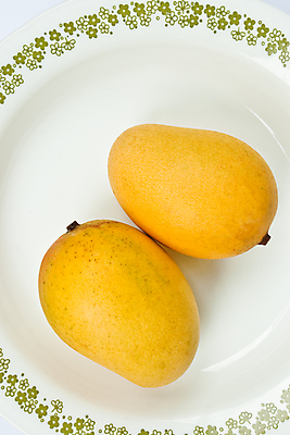 포토 JPG 해외이미지 라이프스타일 접시 음식 조각 백그라운드 다이어트 오렌지 과일 재료 자연 디저트 귤 건강 사람없음 노란색 흰색 신선 황금 달콤 아침식사 먹기 오브젝트 망고 고립 숙성 해외포토 식기 컬러 모션 생활 식사 맛 열대과일 생태계 파일형식 이미지허브