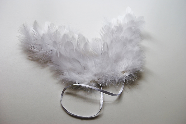 포토 JPG 해외이미지 리본 날개 천사 사랑 사람없음 흰색 깃털 천국 천진난만 해외포토 감정 컬러 컨셉 파일형식 이미지허브