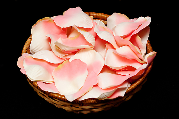 포토 JPG 해외이미지 꽃잎 꽃 분홍색 백그라운드 사람없음 장식 장미 바구니 검은색 수확 직물 복고 고립 인공 핸드메이드 많음 해외포토 식물 컬러 컨셉 농업 파일형식 이미지허브