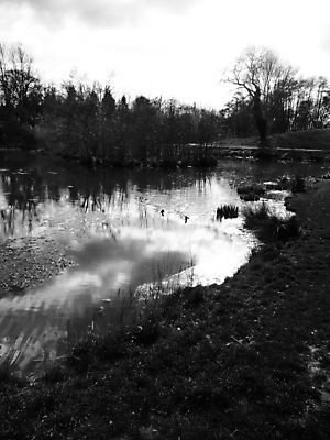 포토 JPG 해외이미지 나무 식물 공원 호수 잎 밭 자연 하늘 풍경 사람없음 야외 초록색 물 여름 파란색 봄 성장 시골 액체 숲 그림 장면 내추럴 해외포토 자연요소 계절 공공시설 컬러 농업 생태계 파일형식 이미지허브