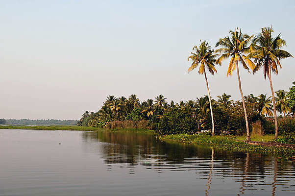 포토 JPG 해외이미지 나무 식물 구름 전통 아시아 호수 여행 자연 하늘 휴식 손바닥 풍경 사람없음 초록색 물 파란색 강 햇빛 태양 반사 환경 개울 보호 숲 열대우림 운하 슛 코코넛 진흙 민물 이국적 채널 케랄라주 해외포토 자연요소 손 나라 컬러 컨셉 과일 인도_나라 생태계 파일형식 이미지허브