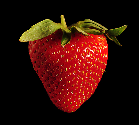 포토 JPG 해외이미지 열매 음식 농업 과일 딸기 사람없음 해외포토 식물 산업 파일형식 이미지허브