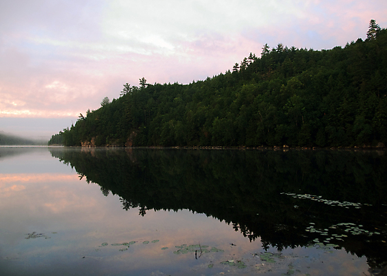 포토 JPG 해외이미지 호수 자연 산 풍경 사람없음 야외 물 강 반사 미국 일몰 소나무 해외포토 자연요소 나무 북아메리카 노을 생태계 파일형식 이미지허브