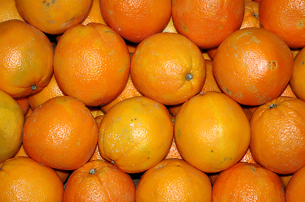 포토 JPG 해외이미지 나무 식물 라이프스타일 음료 음식 줄기 잎 다이어트 오렌지 과일 자연 귤 건강 사람없음 농작물 반사 주스 활발 껍질 흰색 신선 원형 달콤 먹기 피부 오브젝트 싱글 상쾌 날것 비타민 멀티 채식주의자 해외포토 도형 감정 컬러 컨셉 농업 모션 생활 신체부위 맛 생태계 채식 영양소 파일형식 이미지허브