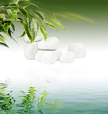 포토 JPG 해외이미지 식물 잎 사람없음 초록색 물 쌓기 스파 테라피 해외포토 자연요소 컬러 모션 뷰티 파일형식 이미지허브