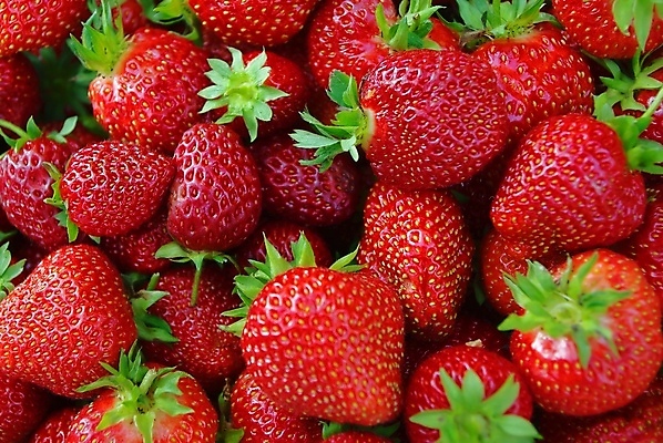 포토 JPG 해외이미지 계절 열매 음식 백그라운드 농업 다이어트 과일 재료 자연 벽지 딸기 디저트 프레임 건강 씨앗 사람없음 가로 빨간색 초록색 여름 빛 활발 신선 달콤 맛 아침식사 먹기 상쾌 유기농 질감 부드러움 비타민 생태학 채식주의자 맛있는 해외포토 식물 웰빙 교육 감정 산업 컬러 컨셉 모션 식사 감각 생태계 채식 영양소 파일형식 이미지허브