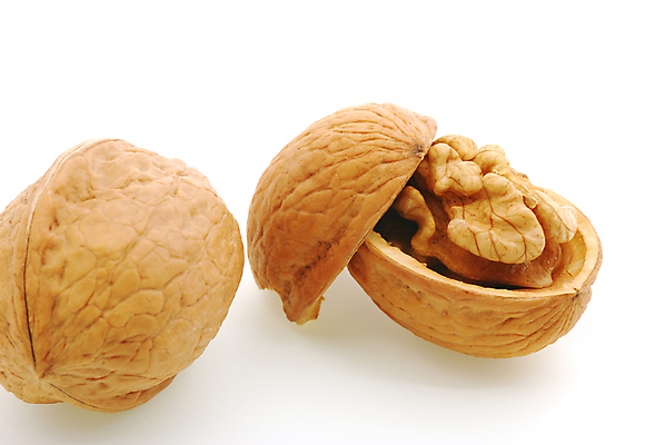 포토 JPG 해외이미지 계절 음식 백그라운드 채소 과일 재료 자연 건조 건강 그림자 사람없음 갈색 견과류 가을 흰색 오픈 먹기 가득함 오브젝트 유기농 호두 내추럴 고립 꼬투리 해외포토 웰빙 컬러 모션 생태계 파일형식 이미지허브