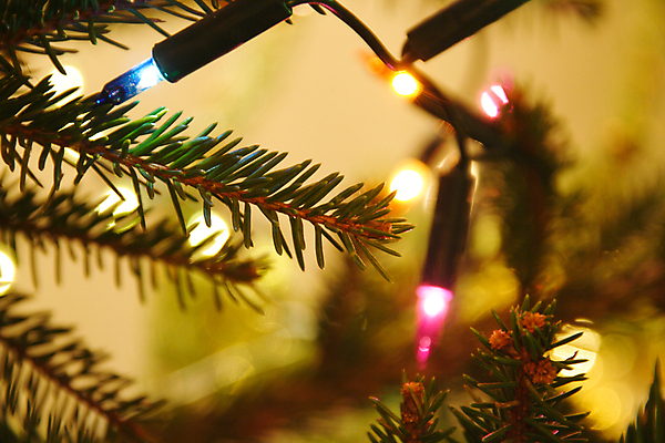 포토 JPG 해외이미지 나무 계절 백그라운드 크리스마스 유리 휴가 기념 선물 사람없음 장식 빨간색 놀람 램프 축하 기다림 야간 준비 주기 문학 빛망울 해외포토 자연요소 식물 기념일 감정 컬러 컨셉 모션 재질 조명 표정 빛 파일형식 이미지허브