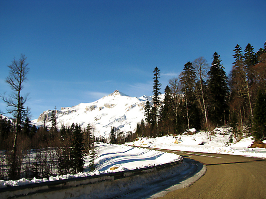 포토 JPG 해외이미지 식물 구름 유럽 여행 겨울 자연 하늘 풍경 사람없음 목재 뷰티 등산 소나무 정상 러시아 암초 절정 해외포토 자연요소 나무 계절 나라 재료 트래킹 생태계 파일형식 이미지허브