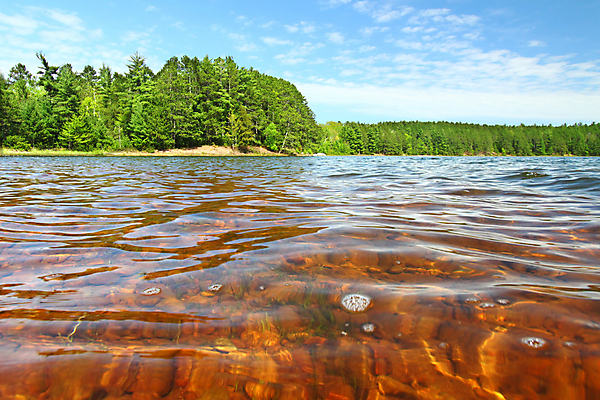 포토 JPG 해외이미지 호수 모래 자연 하늘 사람없음 야외 빨간색 물 빛 햇빛 환경 미국 봄 활발 황무지 숲 생물학 빙하 장면 북쪽 서식지 산악지대 감탄 강렬 삼림지대 생태학 해외포토 자연요소 계절 교육 컬러 컨셉 북아메리카 산 태양 방향 생태계 파일형식 이미지허브
