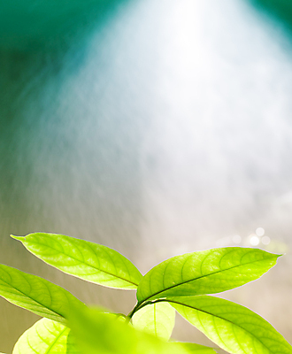 포토 JPG 해외이미지 모양 디자인 백그라운드 컨셉 잎 꽃무늬 패턴 일러스트 자연 아침 추상 미술 사람없음 아웃포커스 초록색 빛 컬러풀 태양 뷰티 맑음 웹 봄 활발 거품 흰색 신선 최고 원형 닫기 질감 보케 부드러움 내추럴 블러 엘리먼트 스타일 효과 해외포토 주간 자연요소 도형 식물 계절 꽃 컬러 무늬 인터넷 모션 날씨 문화예술 촬영기법 감각 생태계 파일형식 이미지허브