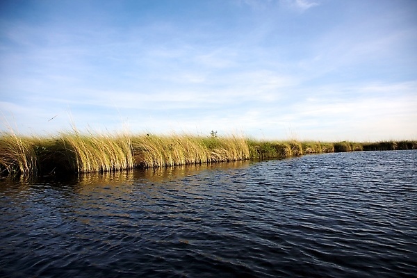 포토 JPG 해외이미지 나무 식물 공원 아프리카 자연 하늘 휴가 휴식 항해 사람없음 초록색 물 파란색 관광지 강 컬러풀 반사 침묵 황무지 플랫 땅 사파리 사냥 카누 남쪽 내추럴 보츠와나 해외포토 자연요소 공공시설 나라 컬러 여행 컨셉 배_교통 소리 수상스포츠 방향 생태계 파일형식 이미지허브