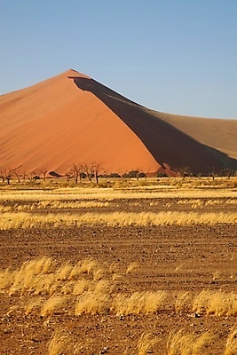 포토 JPG 해외이미지 나무 모래 여행 패턴 밭 오렌지 아프리카 자연 하늘 건조 사람없음 야외 빨간색 파란색 햇빛 태양 갈색 사막 죽음 황무지 모래언덕 가뭄 남쪽 내추럴 나미비아 해외포토 자연요소 식물 나라 컬러 무늬 농업 과일 날씨 방향 언덕 생태계 남아프리카 파일형식 이미지허브