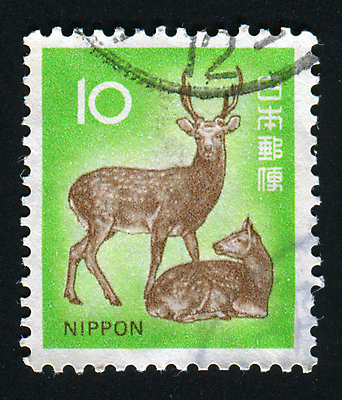 포토 JPG 해외이미지 응시 계절 야생동물 자연 봉투 털 뿔 취미 사람없음 환경 달러 코트 수확 신용카드 메시지 숲 방목 편지 수집 복고 꼬리 사냥 귀 서식지 우표 동물상 삼림지대 상형문자 순록 아기사슴 옛날 우체국 웅장함 해외포토 동물 문자 시선 새끼 돈 농업 사슴 신체부위 금융 조형물 외투 축산업 생태계 기관 파일형식 이미지허브