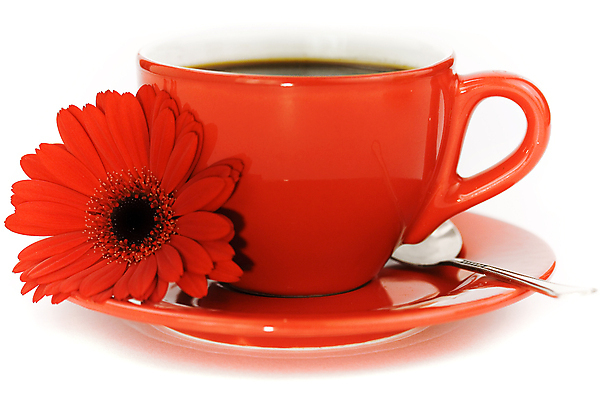 포토 JPG 해외이미지 라이프스타일 꽃 커피 음료 아침 따뜻함 사람없음 일상 컵 빨간색 검은색 거품 머그컵 흰색 신선 뜨거움 닫기 아침식사 묘사 메뉴 데이지 단절 모카 카페인 필터 해외포토 주간 식물 식기 컬러 모션 라이프 생활 식사 파일형식 이미지허브