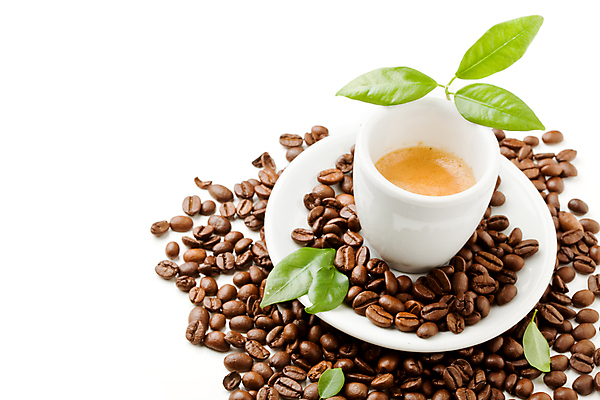 포토 JPG 해외이미지 커피 음료 음식 잎 사람없음 컵 카페 에너지 원두 바 굽기 만취 준비 카푸치노 에스프레소 고립 카페인 해외포토 식물 식기 상점 구이 술취함 파일형식 이미지허브