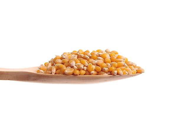 포토 JPG 해외이미지 식물 음식 백그라운드 자연 주방용품 서브 건강 옥수수 요리 사람없음 목재 건강관리 숟가락 흰색 황금 달콤 상품 낟알 알맹이 날것 심플 서빙 팝콘 성분 고립 정물화 평야 제의 해외포토 나무 컬러 생활용품 재료 곡류 수저 관리 맛 그림 생태계 파일형식 이미지허브