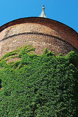 포토 JPG 해외이미지 나무 식물 유럽 벽 백그라운드 잎 건축양식 창문 자연 유리 하늘 지붕 벽돌 주택 사람없음 건물 빨간색 초록색 여름 우주 탑 맑음 봄 바위 도시 성 방어 수비 역사 버리기 타일 박물관 아이비 강화 옛날 해외포토 건축물 계절 건축 나라 컬러 모션 재질 날씨 어류 돌_바위 생태계 파일형식 이미지허브