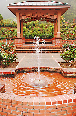 포토 JPG 해외이미지 식물 공원 꽃 벽돌 사람없음 야외 물 장미 계단 정원 분수 분무기 단계 땅바닥 해외포토 자연요소 공공시설 바닥 파일형식 이미지허브